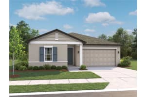 5924 Fresh Flora Drive, WIMAUMA