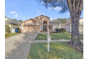12824 KINGS LAKE DRIVE, GIBSONTON, FL 33534 - MLS#MFRTB8473901
