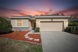 2819 HOLLY BLUFF COURT, PLANT CITY, FL 33566 - MLS#MFRTB8473908