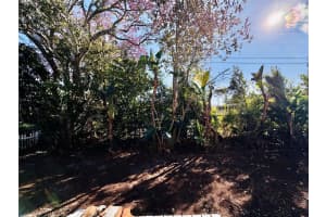 12 LAKE SHORE DRIVE, PALM HARBOR, FL 34684 - MLS#MFRTB8473911