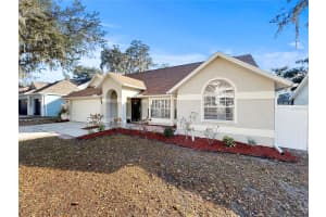 4518 OAK RIVER CIRCLE, VALRICO, FL 33596 - MLS#MFRTB8473963