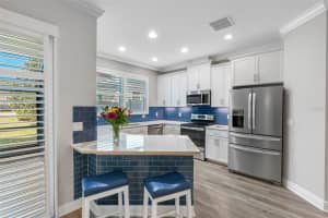 2456 FOGGY CREEK CIRCLE, CLEARWATER, FL 33764 - MLS#MFRTB8473991