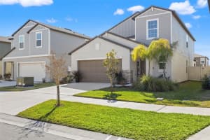 22312 Pleasant Morning Dr, LAND O LAKES