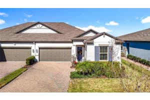 10021 Campanula Ct, LAND O LAKES