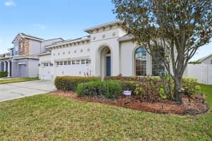 20153 OAKFLOWER AVENUE, TAMPA, FL 33647 - MLS#MFRTB8474016
