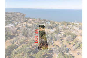 WALKER RD, APOPKA, FL 32703 - MLS#MFRTB8474035