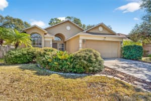 3320 Manor Cove Cir, RIVERVIEW