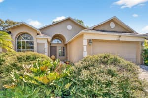3320 MANOR COVE CIRCLE, RIVERVIEW, FL 33578 - MLS#MFRTB8474049