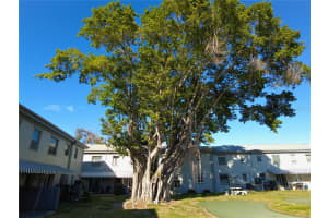 6930A PLACE DE LA PAIX #2B, SOUTH PASADENA, FL 33707 - MLS#MFRTB8474068