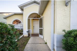 27350 NEW SMYRNA DRIVE, WESLEY CHAPEL, FL 33544 - MLS#MFRTB8474073