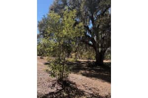 19128 DORMAN ROAD, LITHIA, FL 33547 Sold 03/02/26