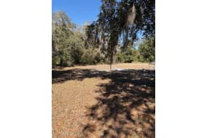 19128 DORMAN ROAD, LITHIA, FL 33547 Sold 03/02/26