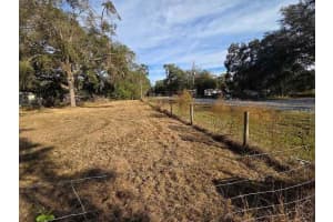 8521 EHREN CUTOFF, LAND O LAKES, FL 34639 - MLS#MFRTB8474108