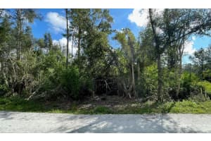 12665 EASHA BOULEVARD, PUNTA GORDA, FL 33955 - MLS#MFRTB8474119