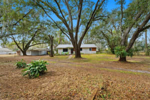 11316 HUTCHENS AVENUE, ODESSA, FL 33556 - MLS#MFRTB8474142