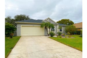 1641 DAYLILY DRIVE, TRINITY, FL 34655 - MLS#MFRTB8474144