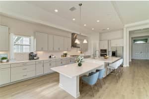 14857 RIDER PASS DRIVE, LITHIA, FL 33547 - MLS#MFRTB8474161