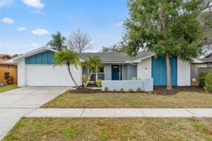3442 GLOSSY IBIS COURT, PALM HARBOR, FL 34683 - MLS#MFRTB8474193