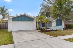 3442 GLOSSY IBIS COURT, PALM HARBOR, FL 34683 - MLS#MFRTB8474193