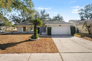 1710 Tallowtree Cir, VALRICO