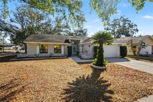 1710 TALLOWTREE CIRCLE, VALRICO, FL 33594 - MLS#MFRTB8474195