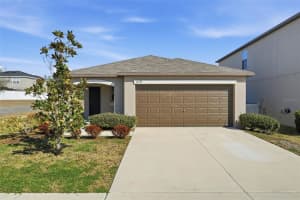 14733 Scottburgh Glen Dr, WIMAUMA