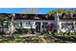 3121 MISSION GROVE DRIVE, PALM HARBOR, FL 34684 - MLS#MFRTB8474233