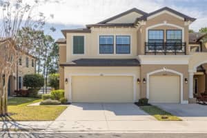 11418 CROWNED SPARROW LANE, TAMPA, FL 33626 - MLS#MFRTB8474236