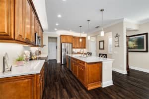 11418 CROWNED SPARROW LANE, TAMPA, FL 33626 - MLS#MFRTB8474236