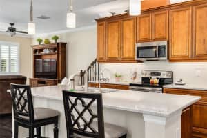 11418 CROWNED SPARROW LANE, TAMPA, FL 33626 - MLS#MFRTB8474236