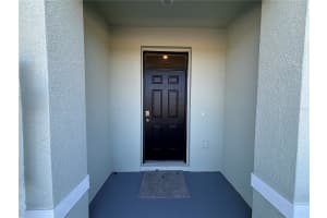 17254 ASHE JUNIPER LANE, LAND O LAKES, FL 34638 - MLS#MFRTB8474237