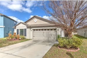 12619 LEMON PEPPER DRIVE, RIVERVIEW, FL 33578 - MLS#MFRTB8474239