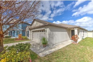 12619 LEMON PEPPER DRIVE, RIVERVIEW, FL 33578 - MLS#MFRTB8474239