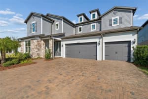 18937 WILLOWMORE CEDAR DRIVE, LUTZ, FL 33558 - MLS#MFRTB8474249