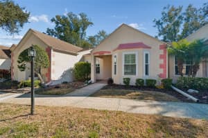 11317 VERSAILLES LANE, PORT RICHEY, FL 34668 - MLS#MFRTB8474251