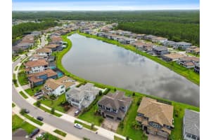 6111 MARSH TRAIL DRIVE, ODESSA, FL 33556 - MLS#MFRTB8474260