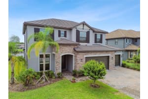 6111 MARSH TRAIL DRIVE, ODESSA, FL 33556 - MLS#MFRTB8474260