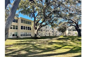 920 VIRGINIA STREET, DUNEDIN, FL 34698 - MLS#MFRTB8474262