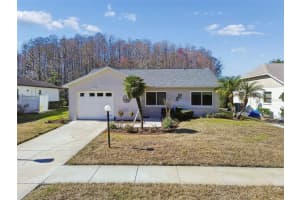 11719 ALDERWOOD DRIVE, NEW PORT RICHEY, FL 34654 Sold 03/09/26