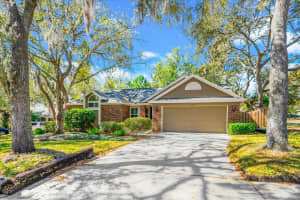 344 CASCADE LANE, PALM HARBOR, FL 34684 - MLS#MFRTB8474280