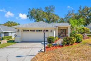 1611 HIGHLAND CLUB LANE, PALM HARBOR, FL 34684 - MLS#MFRTB8474286