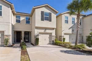14217 Pondhawk Ln, TAMPA