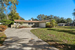 232 PINECREST DRIVE, PALM HARBOR, FL 34683 - MLS#MFRTB8474296