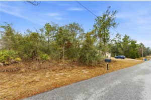 11063 LIBERTO ROAD, WEEKI WACHEE, FL 34614 - MLS#MFRTB8474307