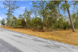 11063 LIBERTO ROAD, WEEKI WACHEE, FL 34614 - MLS#MFRTB8474307