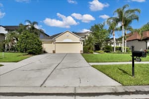 26451 Shoregrass Dr, WESLEY CHAPEL
