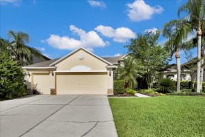26451 SHOREGRASS DRIVE, WESLEY CHAPEL, FL 33544 - MLS#MFRTB8474310