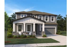 10026 HIDDEN HAMMOCK LOOP, PARRISH, FL 34219 - MLS#MFRTB8474313