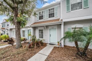 8542 Hunters Key Cir, TAMPA 8542 Hunters Key Cir, TAMPA
