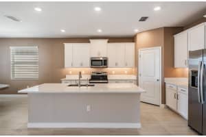 10515 GABLE DIG LOOP, SAN ANTONIO, FL 33576 - MLS#MFRTB8474353